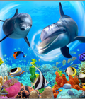 Hình ảnh: Tranh gạch cá heo 3D  HP 28