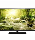 Hình ảnh: TOSHIBA 2015: Tivi LED Toshiba 32L5550, 40L5550, 50L5550, 55l5550 sử dụng hđh android