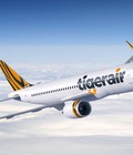 Hình ảnh: Du Ngoạn Đất Nước Singapore Cực Rẻ Cùng Tiger Air