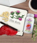 Hình ảnh: Esteem Liver Detox Hồi phục tổn thương gan do rượu và thuốc tây