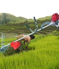 Hình ảnh: địa chỉ cung cấp máy cắt lúa, máy gặt lúa cầm tay giá rẻ nhất