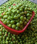 Hình ảnh: Bán lẻ táo mèo Yên Bái tươi tại Hà Nội