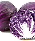 Hình ảnh: Bán hạt giống Bắp cải tím tại Hà Nội