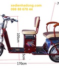 Hình ảnh: Xe đạp điện 3 bánh dành cho ngườicao tuổi và người khuyết tật chân