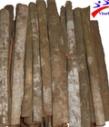 Hình ảnh: Vinapro Chuyên cung cấp quế ống đạt chuẩn chất lượng xuất khẩu