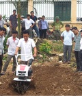 Hình ảnh: Máy xới đất đánh cỏ lên luống cho đất màu và cây ăn quả hiệu Trâu vàng giá rẻ