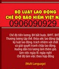 Hình ảnh: Sách bộ luật lao động 2015 anh ,hoa,việt, hàn, nhật