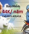 Hình ảnh: Bảo hiểm xe máy Lan Anh 44k/năm FREE SHIP HÀ NỘI