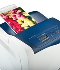 Hình ảnh: Fuji xerox cp305d