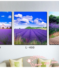 Hình ảnh: Tranh bộ hoa lavander 5