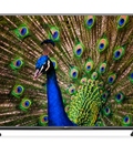 Hình ảnh: Tivi siêu mỏng: TV 4K LED LG 55UF680T 55 inch, 49UF680T 49 inch ra mắt người tiêu dùng Việt