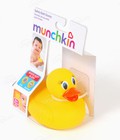 Hình ảnh: Vịt vàng báo nóng Munchkin