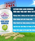 Hình ảnh: Tạm biệt Gout cấp với Esteem Uric Acid Reducer nhập khẩu từ Mỹ