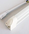 Hình ảnh: Đèn Tube Led Luk T8