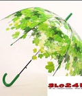 Hình ảnh: Ô dù trong suốt hoa văn
