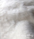 Hình ảnh: Bán vải lông trắng cao cấp để lót nền chụp hình hoặc trưng bày sp