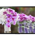 Hình ảnh: Model hot tivi LED SONY 65X9300C 65 INCH, 4K, 3D, 1200HZ bán gia tại kho