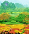 Hình ảnh: Tour du lịch hà giang mùa lúa chín