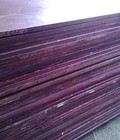 Hình ảnh: gỗ cốp pha phủ keo