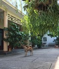 Hình ảnh: Cần Tiền Đầu Tư Bán Gấp Nhà Bùi Đình Túy, Quận Binh Thạnh, 158M2 Nở Hậu,Chính Chủ