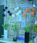 Hình ảnh: Bình hoa bồ công anh