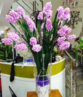 Hình ảnh: Bình hoa lục bình - BH159