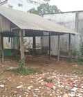 Hình ảnh: Bán lô đất nền đường Huỳnh Tấn Phát, F. Phú Thuận, Quận 7 Hẽm 1206