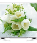 Hình ảnh: Tivi Led Sharp LC 60LE960X 60 inch, Full HD 3D, LED TV bán giá rẻ