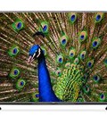 Hình ảnh: Thiết kế hoàn hảo: Smart TV Led LG 55LF595 55inch Full HD giá tốt nhất tại kho