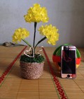 Hình ảnh: Bình hoa nhỏ xinh