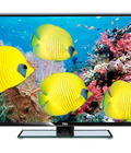 Hình ảnh: Kho hàng điện tử về hàng giá sốc tivi TCL 42D2720