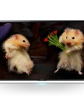 Hình ảnh: Siêu phẩm sony 4k 3d 65X9300C nay đã hạ giá