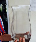 Hình ảnh: Bình thủy tinh HCN thân lượn chữ S ( cao 25cm) - TT0149