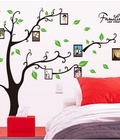 Hình ảnh: Decal dán tường Ovivi cây khung ảnh OV174