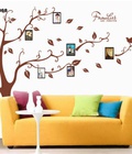 Hình ảnh: Decal dán tường OVIVI cây khung ảnh family nâu nhỏ OV368