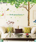 Hình ảnh: Decal dán tường Ovivi cây xanh to chim vẹt OV372