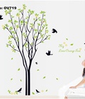 Hình ảnh: Decal dán tường Ovivi cây cam chín OV719
