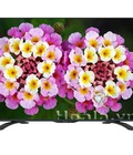 Hình ảnh: Model mới Tivi led Sharp 50 inch LC 50LE275X Full HD bán giá rẻ