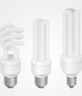 Hình ảnh: Bóng đèn huỳnh quang, bóng compact đủ loại công suất