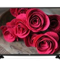 Hình ảnh: Model mới Tivi Led LG 43UF640T 43 inch, 4k 900 Hz bán giá rẻ