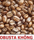Hình ảnh: Cà phê Robusta không tẩm Số 22