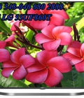 Hình ảnh: Phân phốiTivi LG mới 2015: Bán Tivi 4k LG 43UF690T,LG 55UF860T, LG 65UF860Tgiá rẻ