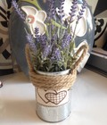 Hình ảnh: Bình nhôm Lavender