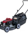 Hình ảnh: Xe cắt cỏ đẩy tay Honda nhập khẩu, giá rẻ tại TPHCM