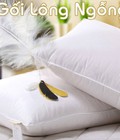 Hình ảnh: Gối lông ngỗng cao cấp  50cm x 70cm