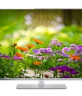 Hình ảnh: Tivi led TCL L42D2720 42 inch full HD tạo nên cơn sốt lớn trong tháng.