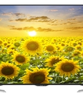 Hình ảnh: TV 4K 65UE630, Tivi Led Sharp LC 65UE630X 65 inch Smart TV 4K giá sốc