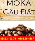 Hình ảnh: Bán cà phê Moka cầu đất chất lượng ở TPHCM
