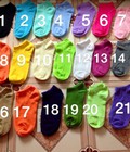 Hình ảnh: Bán sỉ Buôn lẻ các loại tất trơn 3d hình ghép tất hoa quả converse lee hộp tất tuần tất mèo giá rẻ ở hà nội