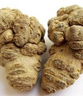 Hình ảnh: Bán tam thất bắc bổ dưỡng tăng sức để kháng, điều hòa miễn dịch, bảo vệ tim, cầm máu, tiêu viêm